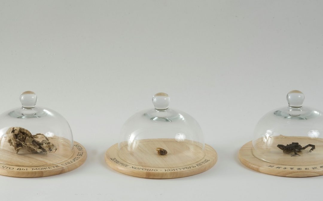 Sic transit gloria mundi (2)